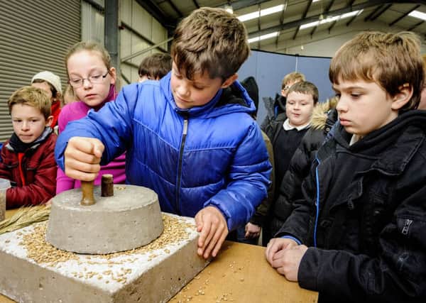 Grind your own...Forth Primary pupils learn how to make flour (Pic by Andrew Wilson)