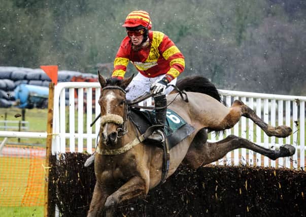 Exciting racing...at this Sunday's Point to Point meeting