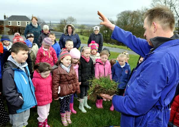 Green, green grass...of Nether Affleck Farm is explained to the youngsters by farmer Jim Baird (Pic Lindsay Addison)