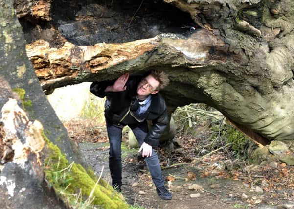 Blocked...Reporter Ron Harris ducks beneath the giant trunk across the Stey Brae on Lanark's Marches route (Pic Lindsay Addison)