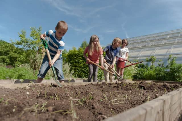 Children gardening on a raised vegetable plot in spring.