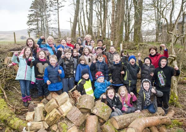 Round the campfire...Crawford Primary School pupils enjoyed the great outdoors, and marshmallows, after planting trees in Fairygate Wood (Pic Lenny Warren)