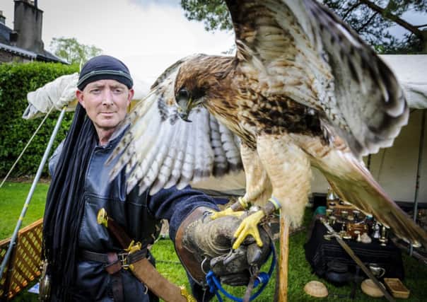 Bird in the hand...at Wallace Day celebration in Lanark to mark the 700th anniversary of the Battle of Bannockburn on Saturday, May 10, 2014 (Pic Andrew Wilson)