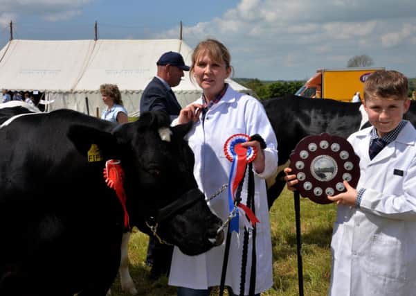 Prize animal...British Blue Cow Champion of Champions at Lesmahagow Agricultural Show 2014 with owners Shona and Ross Comrie (Pic Rodger Price)