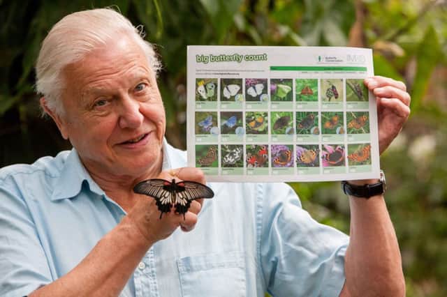 Sir David Attenborough launching the Big Butterfly Count, at London Zoo.