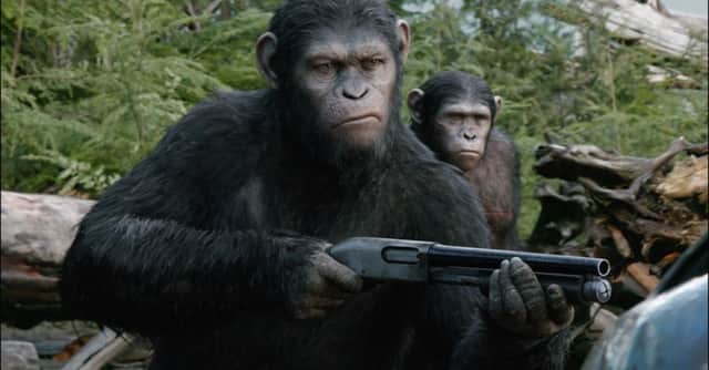 Film Still from Dawn Of The Planet Of The Apes. See PA Feature FILM Film Reviews. Picture credit should read: PA Photo/Fox UK. WARNING: This picture must only be used to accompany PA Feature FILM Film Reviews.