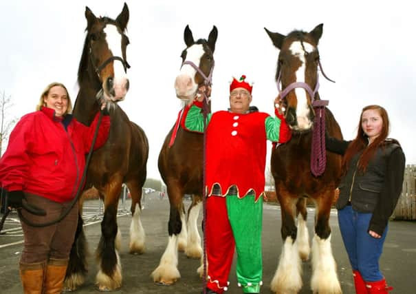 Horse-power...rather than reindeer power for this elf and his helpers at Dobbies Sandyholm 2014 Santa parade (Pics James Clare)