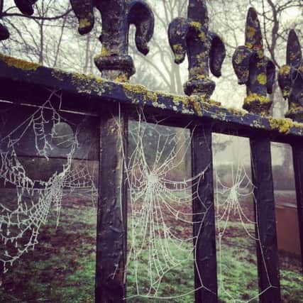 Frosty spiderwebs add an ornate touch to the gates at Queens Park