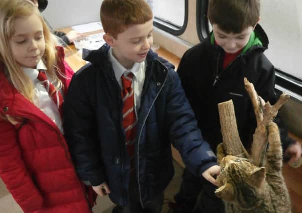 Crookfur pupils Heidi Johnston, Rory McLaughlin and  Lewis Campbell learn about the life of a Scottish wildcat.