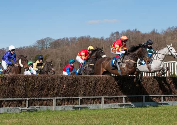 Horsing around...at point-to-point     (Pics by Sarah Peters)