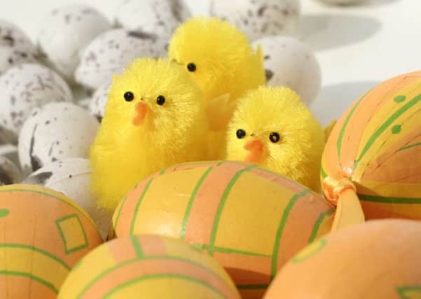 Have an eggs-cellent Easter!