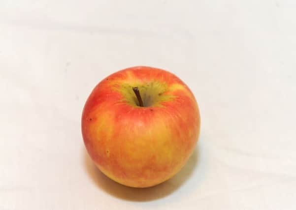 Picture by JANE BARLOW. 16th January 2013. Breakfast food. Pictured is an apple.