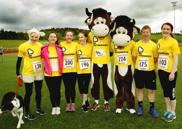 Moo-ving along...to raise funds for the Beatson Cancer Charity at Carluke on the Run 2015 in the John Cumming Stadium on Sunday, June 7, 2015 (Pic by James Clare)