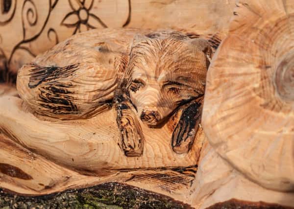 Sleeping fox...one of the woodcarvings created in Castlebank's Fairy Dell this spring (Pic by Sarah Peters)