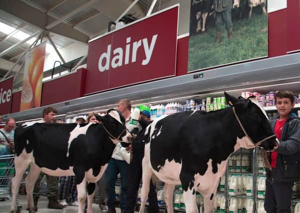 Cows taken into supermarket in protest at milk prices