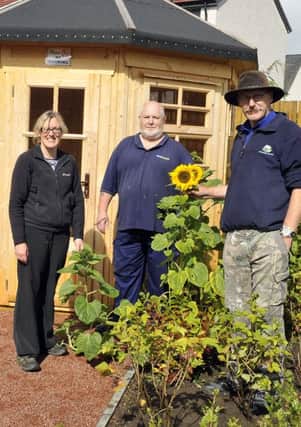 Hillhead Housing Association Growing Project
