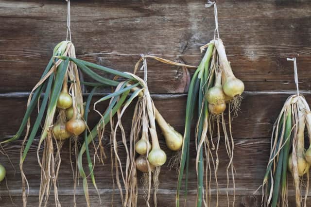 Onions hanging out to dry on a wall. See PA Feature GARDENING Late Summer. Picture credit should read: PA Photo/thinkstockphotos. WARNING: This picture must only be used to accompany PA Feature GARDENING Late Summer.