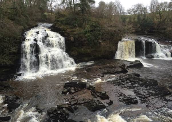Falls of Clyde are a magnificent subject all year round