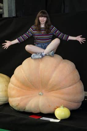 A large pumpkin in a vegetable exhibition.