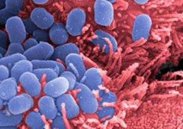 A tenth case of E.coli has been confirmed in Scotland.
