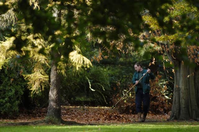 Tips for tidying up your garden before spring. Pic: Phil Wilkinson