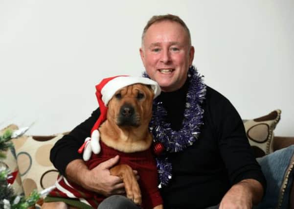 Kai, sitting pretty and getting in the festive spirit with new owner, Ian Russell of Newton Mearns. Picture: Daily Record and Alasdair MacLeod