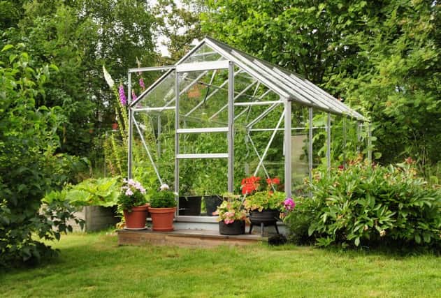 A greenhouse in a back garden.
