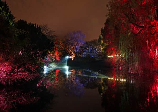 Botanic Lights: Night in the Garden, An evening light event at the Royal Botanic Garden Edinburgh (RBGE), which was open to the public from October 30 to November 23. Pic: Andrew O'Brien.
