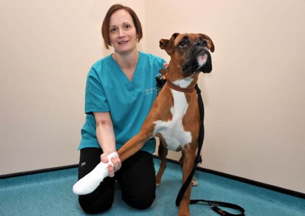 Learning first aid could save your pet's life