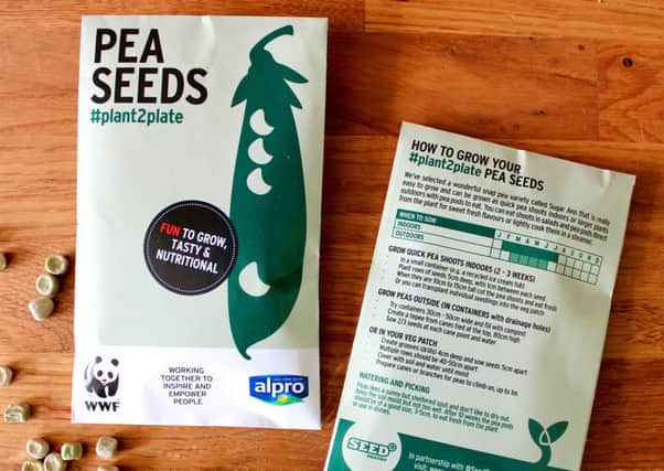 Youngsters are being invited to take part in the Easy Peasy Pea Challenge which allows them to have a go at sowing, growing and showing homegrown crops of delicious green peas, either in a window box or small growing patch.