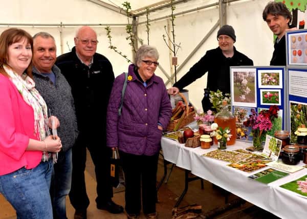Blossom Day display (
Pic by Rodger Price)
