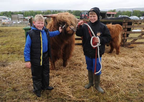 6-06-2015 Picture Jamie Forbes. Campsie Show, Torrance. Jaylen McLachlin 7 and Leon McMillan with a highland bull.