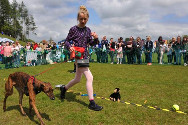Why not pop in to see Milngavie Dog Show?