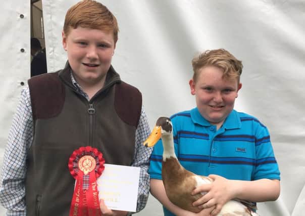 Callum and Finlay Frame, junior winners at the Royal Highland Show