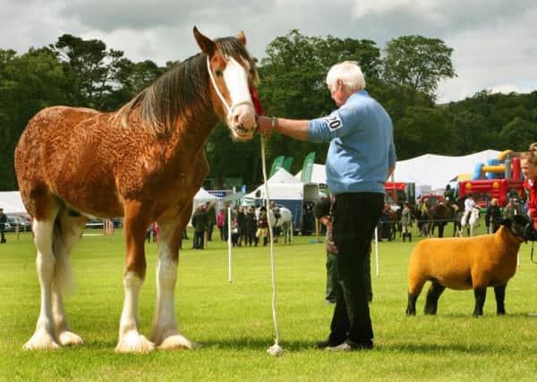 Lining up for the judges at Biggar Show last summer