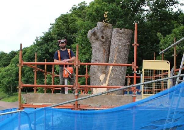 Chainsaw carver Hamish Maxwell is working at Strathclyde Park