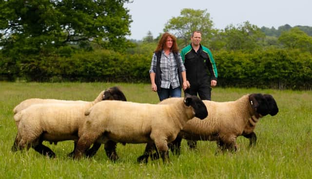 A warning has been issued over increased levels of livestock attacks by dogs.