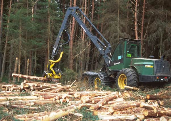 The dangers of a working woodland are being highlighted by Forestry Commission Scotland.