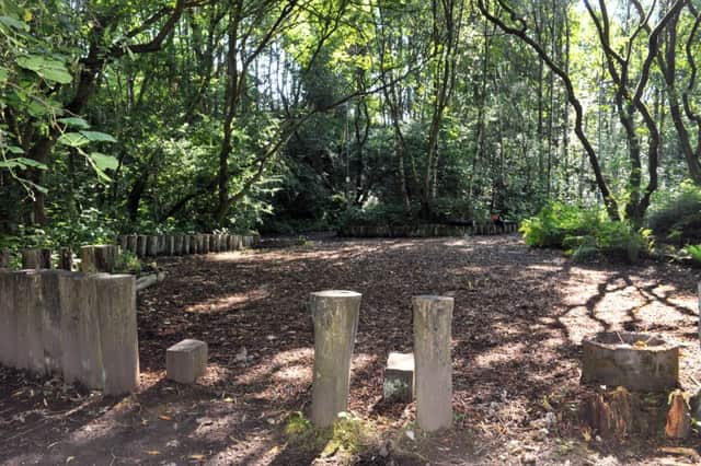 Woodland play area - parents have been given a grant to transform the abandoned play area.