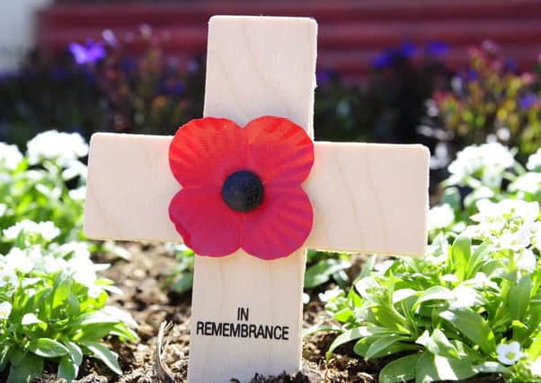 Pupils are being invited to highlight the importance of remembrance. Pic: Michael Gillen.