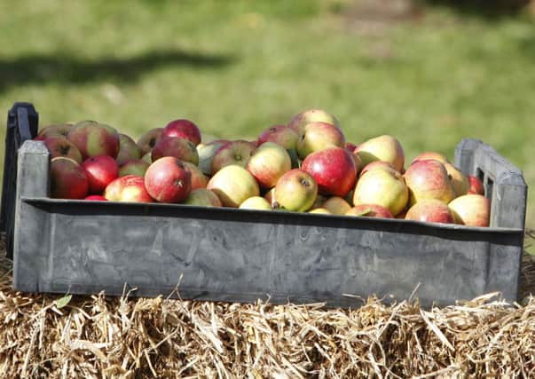 Donations of apples are needed to be pressed into Clyde Valley juice