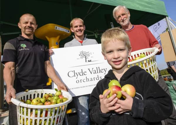 The Clyde Valley Orchards Cooperative with apples for pressing at Fruit Day last year (Pic by South Lanarkshire Council)
