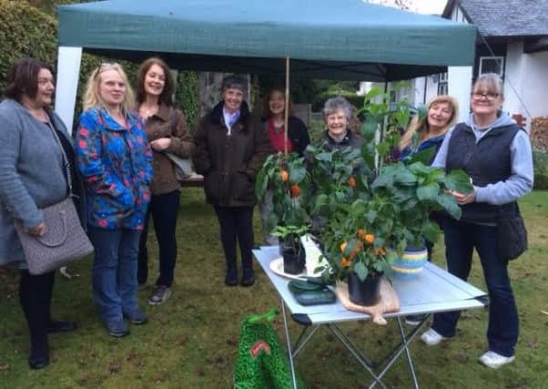 Residents and friends raised cash for the Bumblebee Conservation Trust.