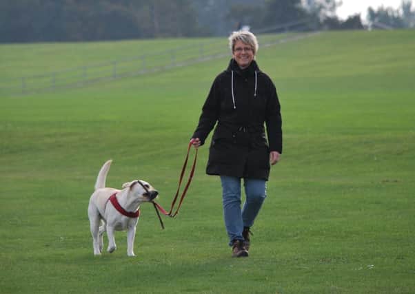 Its official  - dog owners in Scotland are fitter and healthier than people without dogs. This is according to a new study by Butchers Pet Care.