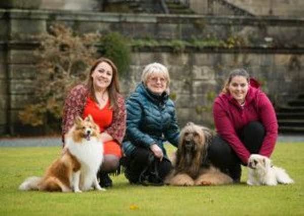 The three finalists Cody, Clyde and Milo, and their owners at Pollok House