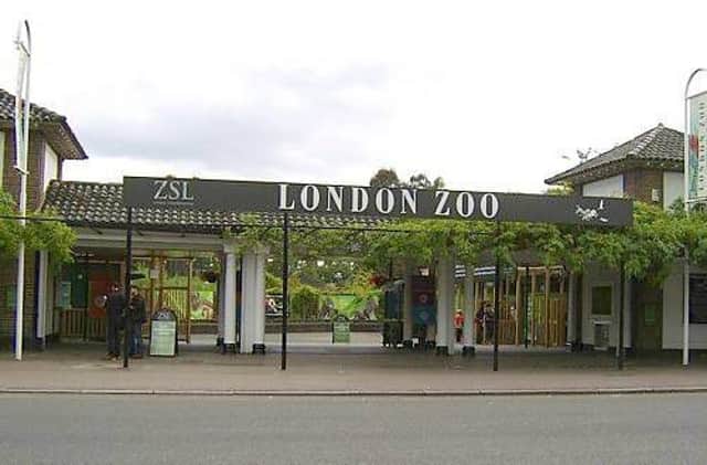 Have a go at winning a trip to London.