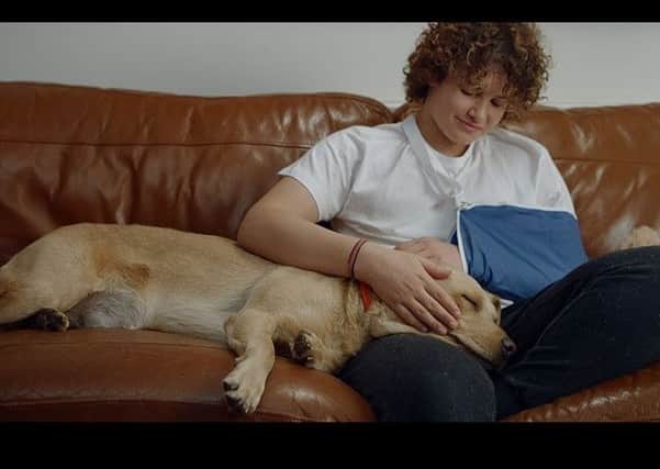 A new mini-film that promotes the adoption of rescue dogs has generated 1.1 million views on Facebook, after dog lovers from across the UK shared the video over 29,000 times.