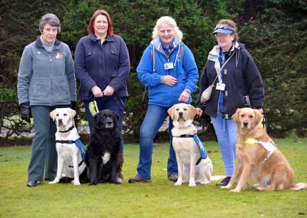 23-01-2017 Picture Roberto Cavieres.  KIRKINTILLOCH Leisure Centre . Guide dog puppy for the blind called 'Kirk' after Kirkintilloch, with sponsors, including Margaret Hutchison of local guide dogs for blind
