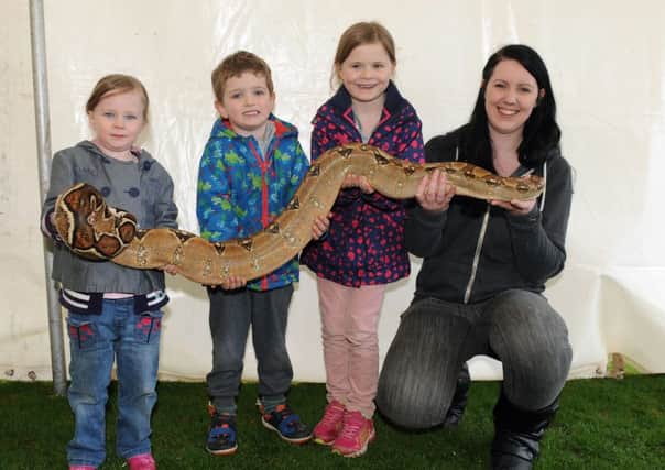 Last year's Vet School Rodeo. L/R Cara MacKay (5), Murray Innes (4), Anna MacKay (7) with Linzi Adams from Creature Comforts. All holding a 10 kilo boa constrictor snake called Selene.