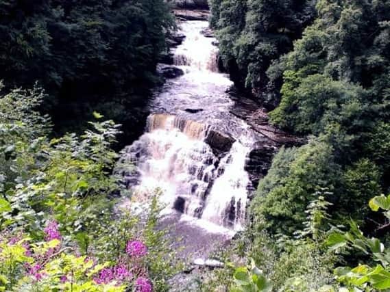 Corra Linn, one of the Falls of Clyde which will feature during the series of walks.